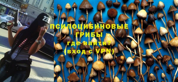 мет Бородино