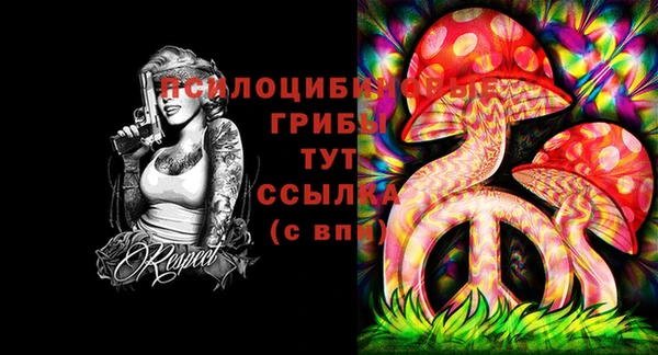 ГАЛЛЮЦИНОГЕННЫЕ ГРИБЫ Бронницы