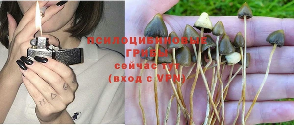 ГАЛЛЮЦИНОГЕННЫЕ ГРИБЫ Бронницы