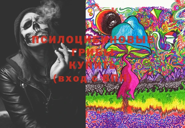 ГАЛЛЮЦИНОГЕННЫЕ ГРИБЫ Бронницы