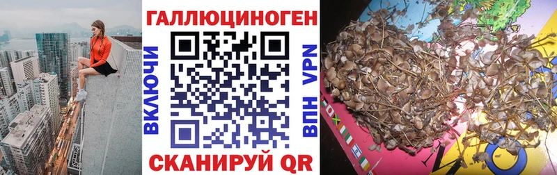 Псилоцибиновые грибы MAGIC MUSHROOMS  Ульяновск 